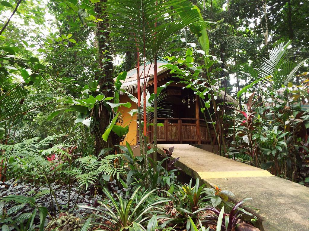 Korrigan Lodge Cahuita Quarto foto